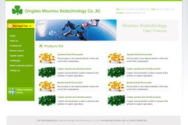 青島網景 以專業模板與定制開發，做客戶信賴的網站建設伙伴